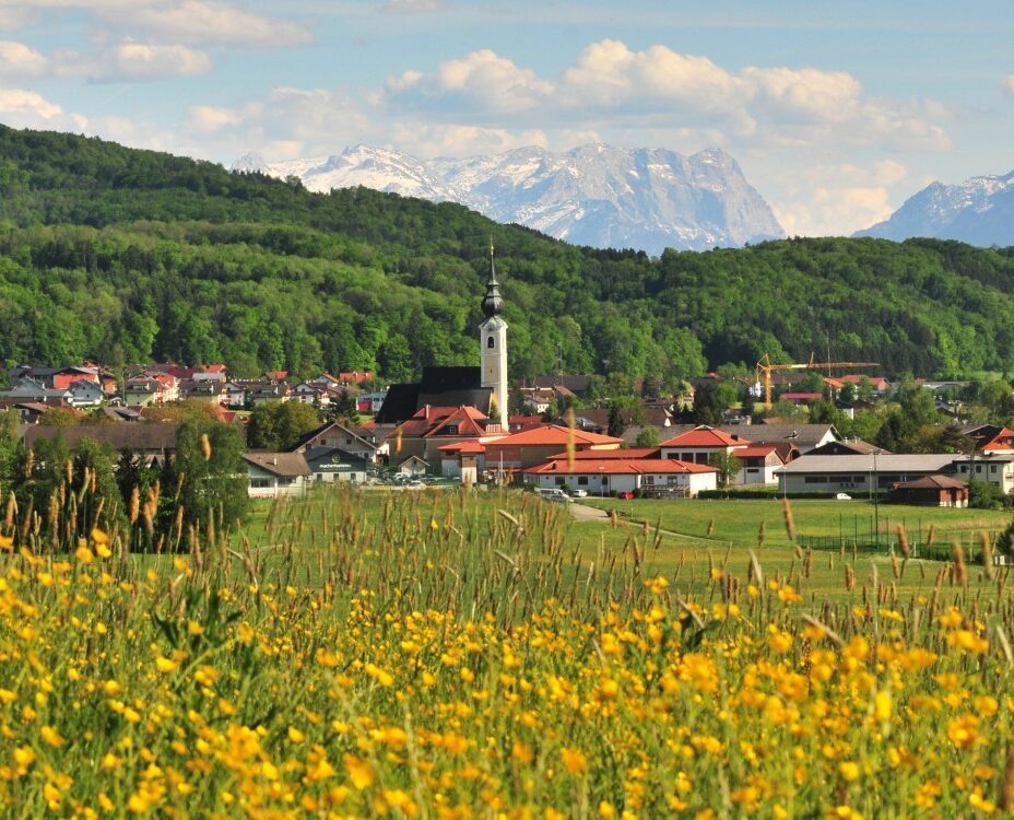 Hotel Hammerschmiede, Blick auf Anthering mit Sommerwiese,