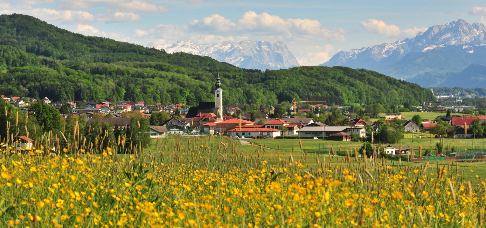 Hotel Hammerschmiede. Salzburger Land, Anthering