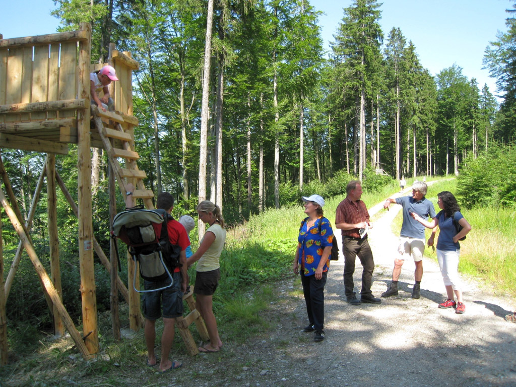 Hotel Hammerschmiede, Ausflugsziele, Wanderung auf dem Haunsberg, Wandergruppe